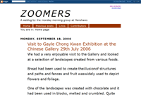 Screenshot of the Zoomers blog