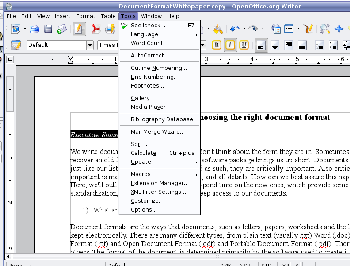 Open Office Writer main window