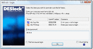 DESlock screen grab